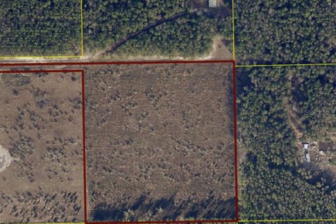 Land in Live Oak, Florida № 1306608 - photo 1