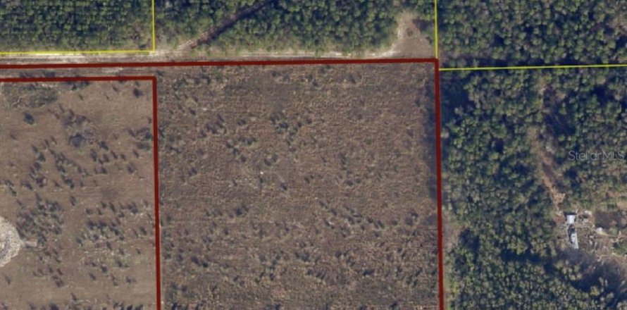 Land in Live Oak, Florida № 1306608