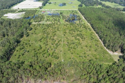 Land in Live Oak, Florida № 1306608 - photo 8