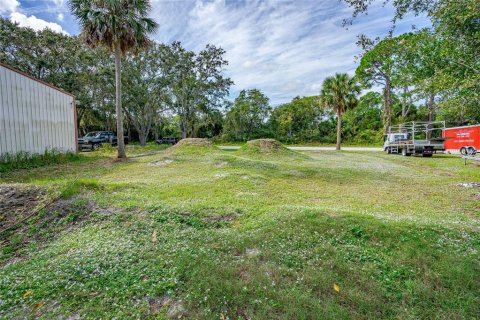 Terrain à vendre à Edgewater, Floride № 854372 - photo 7