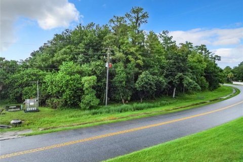 Land in Kissimmee, Florida № 1295551 - photo 16