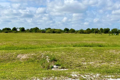 Купить земельный участок в Виро-Бич, Флорида № 511091 - фото 3