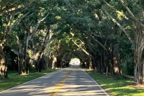 House in Hobe Sound, Florida 6 bedrooms, 391.12 sq.m. № 1216404 - photo 22