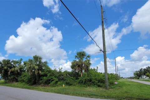 Купить земельный участок в Пунта-Горда, Флорида № 530015 - фото 3