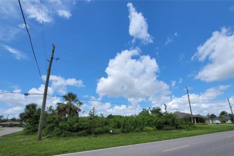 Купить земельный участок в Пунта-Горда, Флорида № 530015 - фото 2