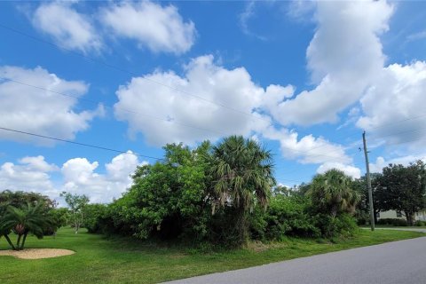 Купить земельный участок в Пунта-Горда, Флорида № 530015 - фото 4