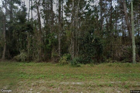 Land in San Mateo, Florida № 1299232 - photo 1