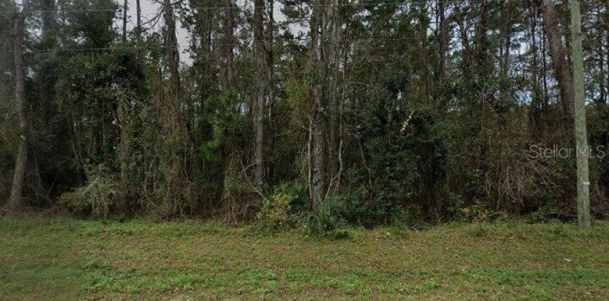 Land in San Mateo, Florida № 1299232