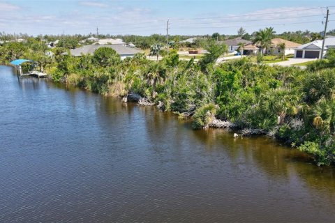 Land in Port Charlotte, Florida № 1105536 - photo 18