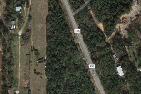 Land in Clermont, Florida № 1346754 - photo 2