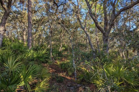 Terrain à vendre à Clermont, Floride № 1346754 - photo 6