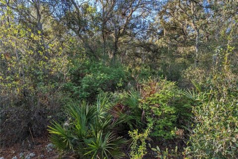 Land in Clermont, Florida № 1346754 - photo 22