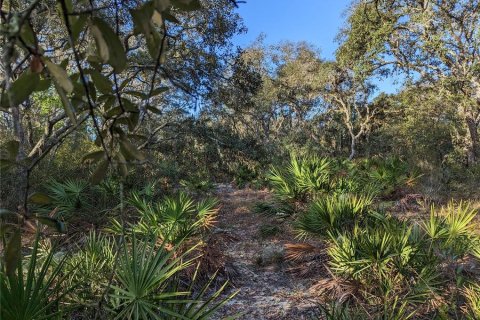 Land in Clermont, Florida № 1346754 - photo 18