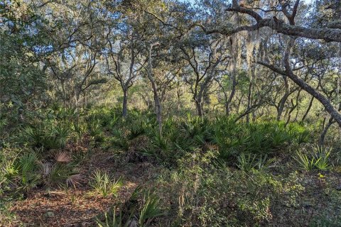 Land in Clermont, Florida № 1346754 - photo 19