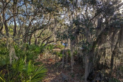 Land in Clermont, Florida № 1346754 - photo 7