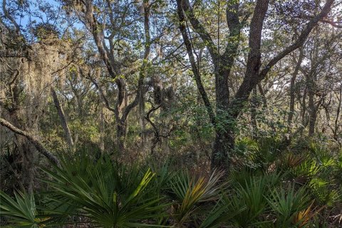 Land in Clermont, Florida № 1346754 - photo 13