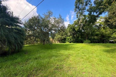 Terreno en venta en Orlando, Florida № 1319886 - foto 4