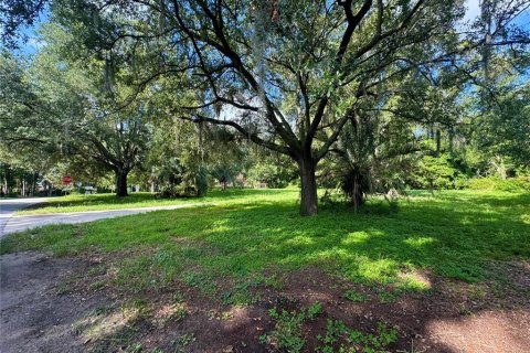 Terreno en venta en Orlando, Florida № 1319886 - foto 5