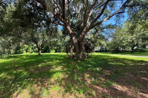 Terreno en venta en Orlando, Florida № 1319886 - foto 3