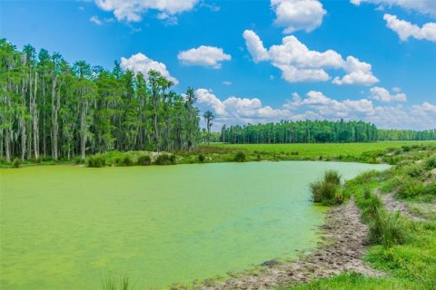Terrain à vendre à Lakeland, Floride № 260338 - photo 9