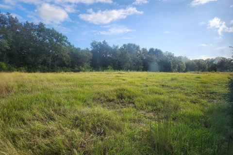 Купить земельный участок в Окичоби, Флорида № 1142548 - фото 1