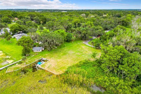 Terreno en venta en Leesburg, Florida № 1427058 - foto 18