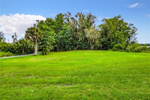 Terreno en venta en Leesburg, Florida № 1427058 - foto 2