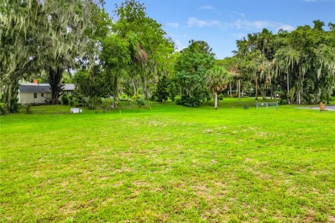 Terreno en venta en Leesburg, Florida № 1427058 - foto 4