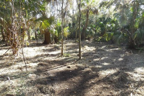 Land in Zolfo Springs, Florida № 1357851 - photo 13