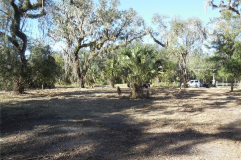 Land in Zolfo Springs, Florida № 1357851 - photo 15