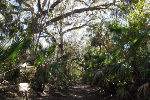 Land in Zolfo Springs, Florida № 1357851 - photo 7