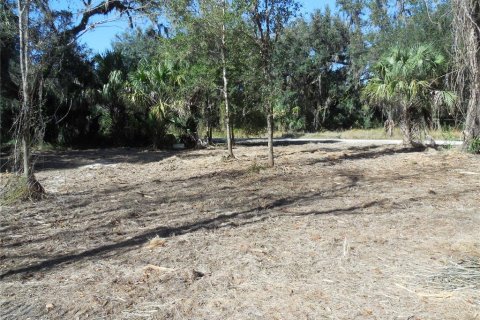 Land in Zolfo Springs, Florida № 1357851 - photo 3