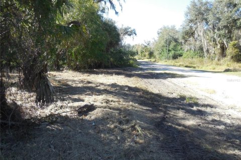 Land in Zolfo Springs, Florida № 1357851 - photo 2