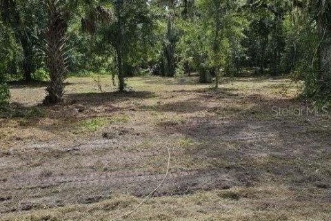 Land in Zolfo Springs, Florida № 1357851 - photo 1