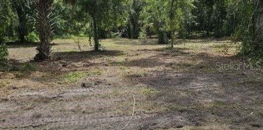 Land in Zolfo Springs, Florida № 1357851