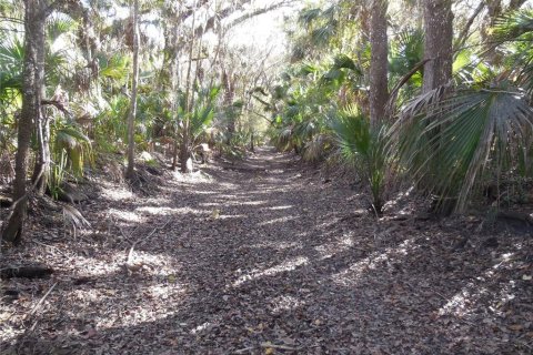 Terrain à vendre à Zolfo Springs, Floride № 1357851 - photo 5