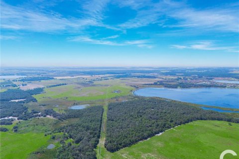 Land in Lake Wales, Florida № 1425785 - photo 11