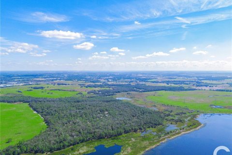 Land in Lake Wales, Florida № 1425785 - photo 10