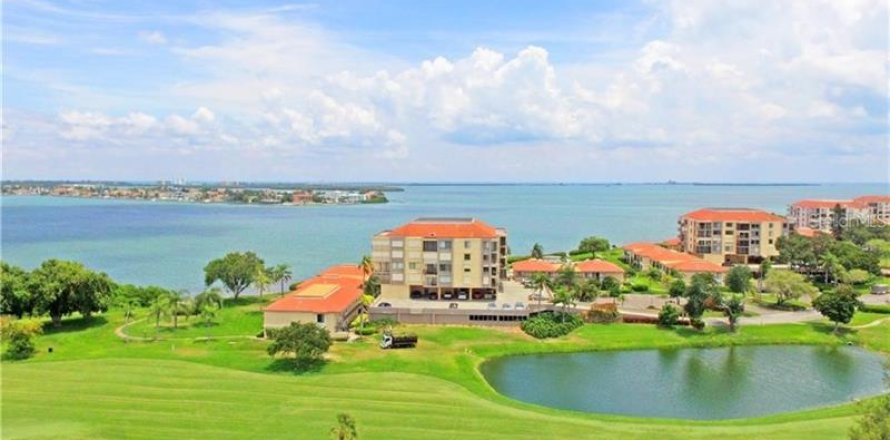 Condo in Saint Petersburg, Florida, 2 bedrooms  № 319923