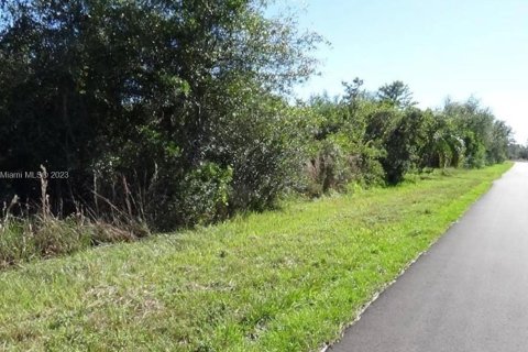 Terreno en venta en Punta Gorda, Florida № 911853 - foto 4