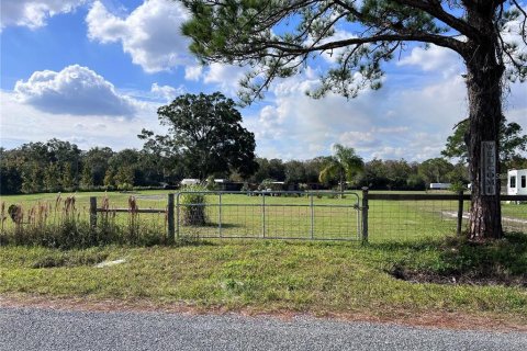 Купить земельный участок в Окичоби, Флорида № 1125176 - фото 11
