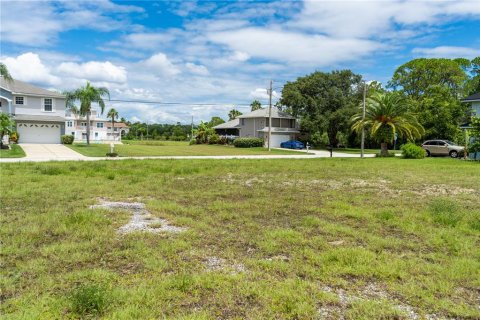 Terreno en venta en Spring Hill, Florida № 1340956 - foto 8