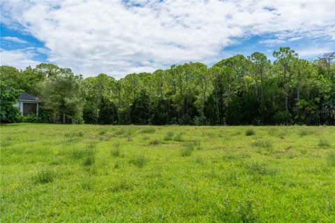 Land in Spring Hill, Florida № 1340956 - photo 4