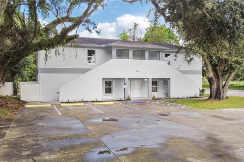 Immobilier commercial à vendre à Tampa, Floride: 241.55 m2 № 1350992 - photo 1