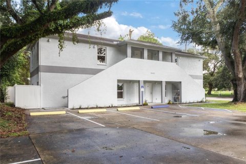 Immobilier commercial à vendre à Tampa, Floride: 241.55 m2 № 1350992 - photo 3