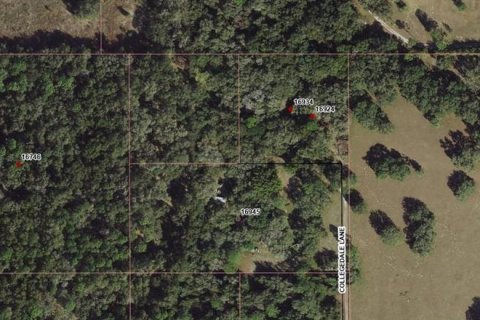 Terreno en venta en Spring Hill, Florida № 1316971 - foto 2