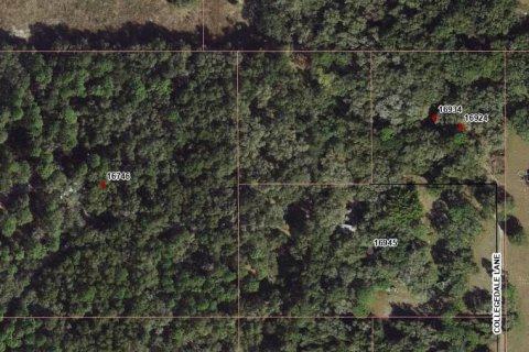 Terreno en venta en Spring Hill, Florida № 1316971 - foto 4