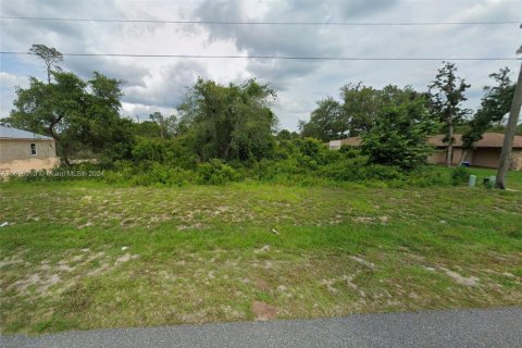 Terreno en venta en Ocala, Florida № 1281821 - foto 2