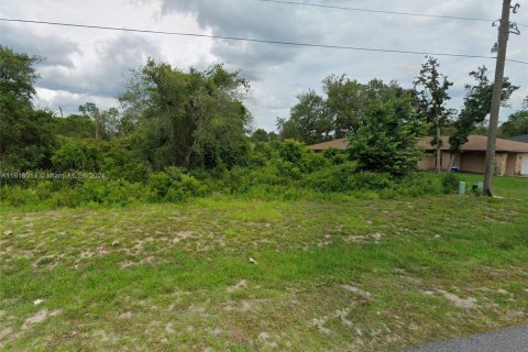 Terreno en venta en Ocala, Florida № 1281821 - foto 8