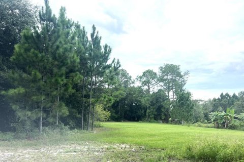 Land in Groveland, Florida № 1377788 - photo 1